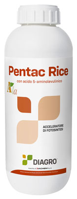 pentac rice